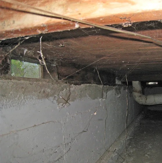 Crawl Space Water Damage Repair in Seagrove, NC