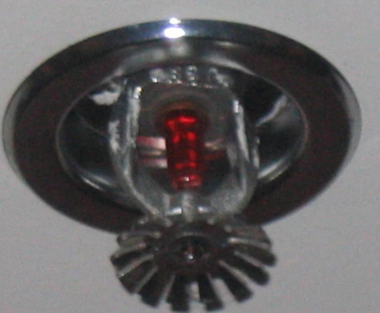 Fire Sprinkler Discharge Water Removal in Star, NC