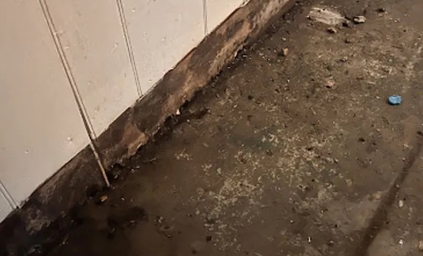Black Water Extraction (Category 3) in Star, NC